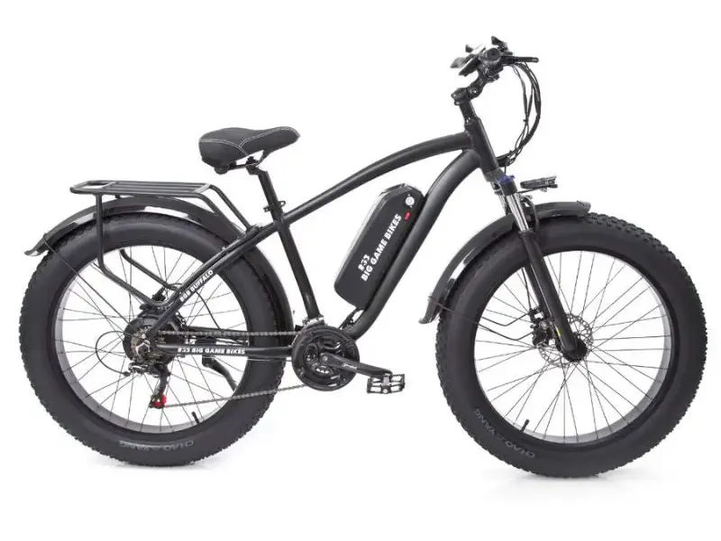 electric fat bike