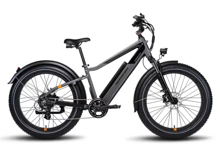 Large Electric Bike Collection and Delivery