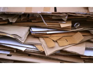 Cardboard